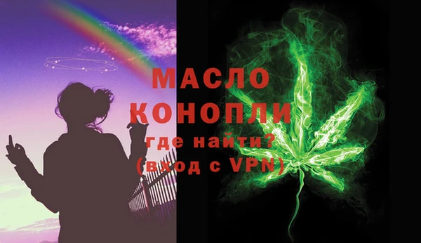 индика Костерёво