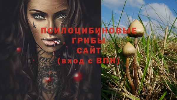 ALPHA-PVP Коряжма