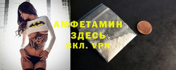 индика Костерёво