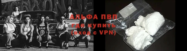 индика Костерёво