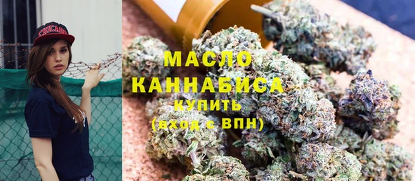 индика Костерёво