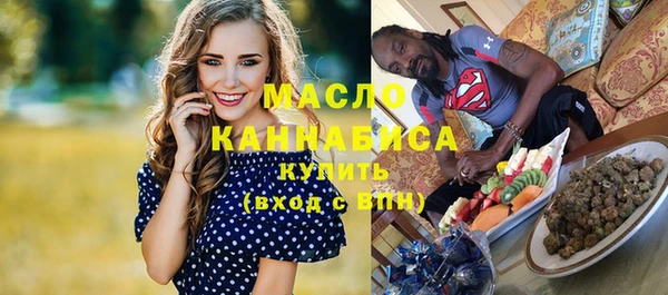 индика Костерёво