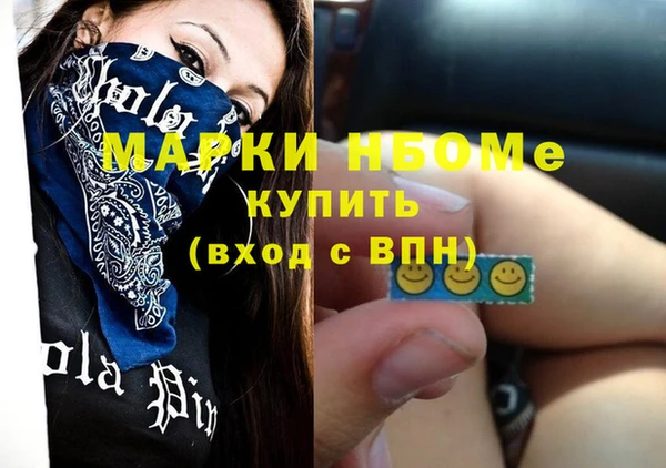 индика Костерёво