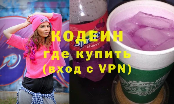 индика Костерёво