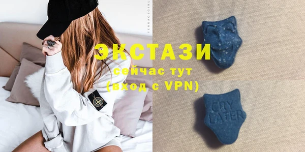 индика Костерёво