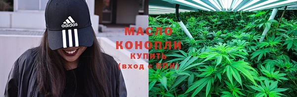 индика Костерёво
