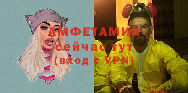 индика Костерёво