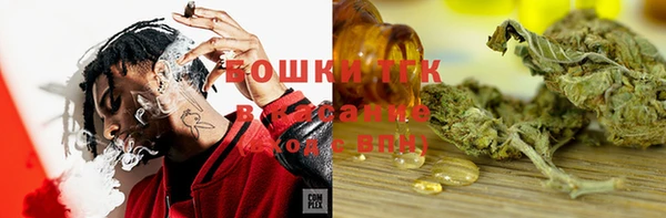 индика Костерёво