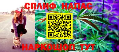 мяу мяу мука Аргун