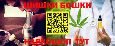 мяу мяу мука Аргун