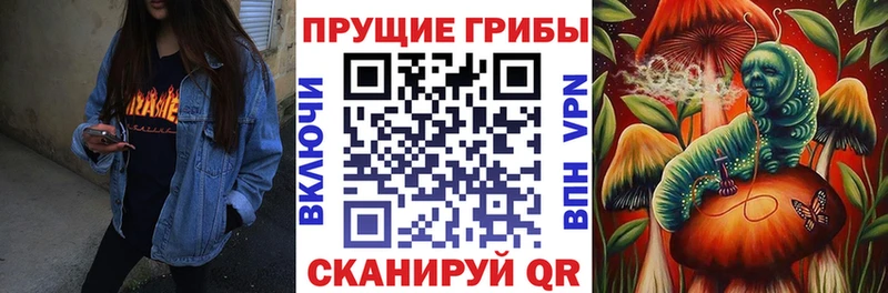 Псилоцибиновые грибы прущие грибы  Топки 