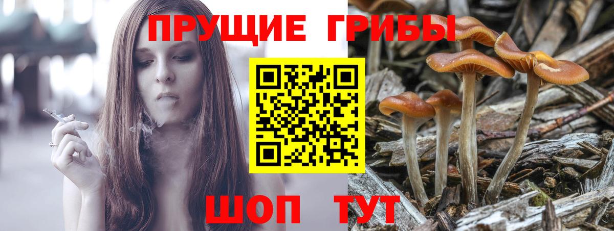 Топки  Галлюциногенные грибы ЛСД  Вход с VPN 