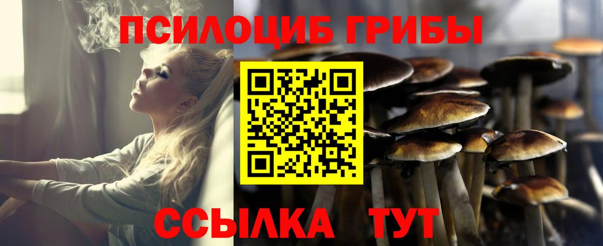 Псилоцибиновые грибы Cubensis  Топки  Галлюциногенные грибы Psilocybine cubensis 