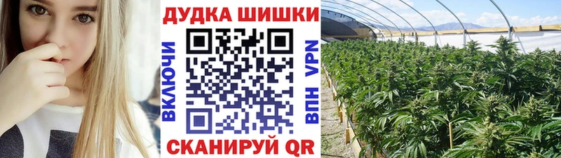 Бошки Шишки VHQ  Топки 